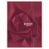 Cahier brochure rembord&eacute;e rigide 7000 24x32 cm 288 pages grands carreaux 70 g