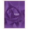 Cahier brochure rembord&eacute;e rigide 7000 24x32 cm 288 pages grands carreaux 70 g