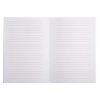 CARNET A6 LALO SPECIAL 100 ANS 48 PAGES LIGNEES