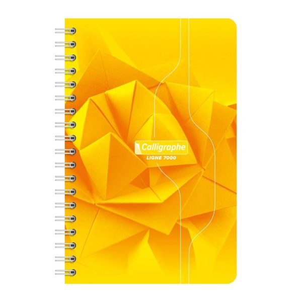 Carnet reliure int&eacute;grale 7000 11&times;17 cm 100 pages petits carreaux 70 g