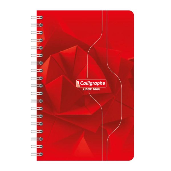 Carnet reliure int&eacute;grale 7000 11&times;17 cm 100 pages petits carreaux 70 g
