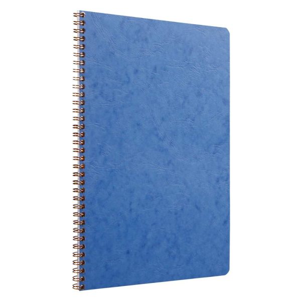 Cahier reliure int&eacute;grale Age Bag A4 100 pages petits carreaux