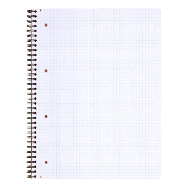 Carnet reliure int&eacute;grale Age Bag A4+ 160 pages d&eacute;tachables perfor&eacute; 4 trous petits carreaux