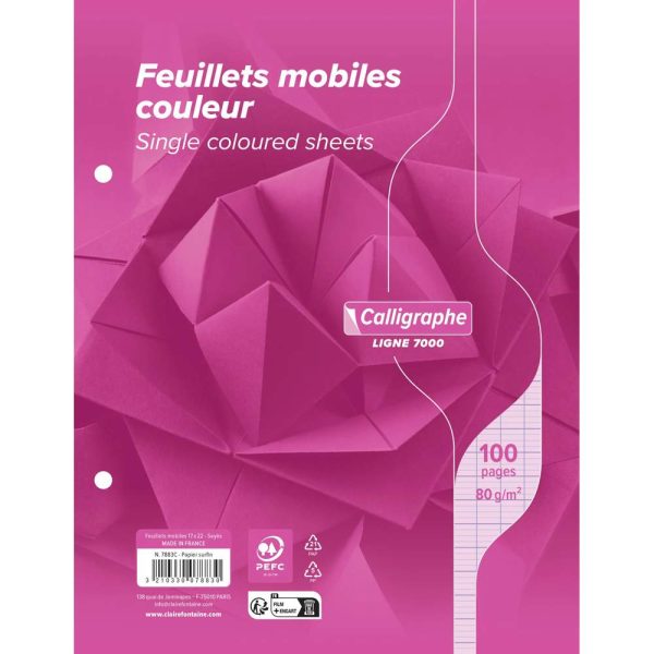 Feuillets mobiles sous film 7000 17&times;22 cm 100 pages perfor&eacute;es 2 trous grands carreaux 80 g