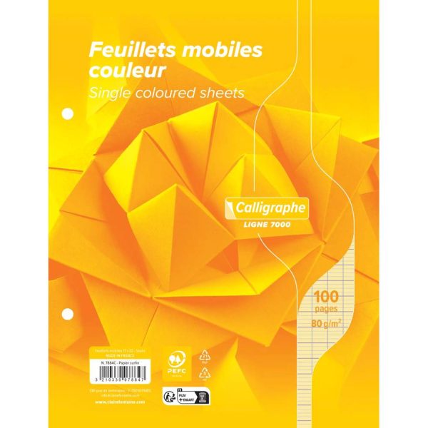 Feuillets mobiles sous film 7000 17&times;22 cm 100 pages perfor&eacute;es 2 trous grands carreaux 80 g