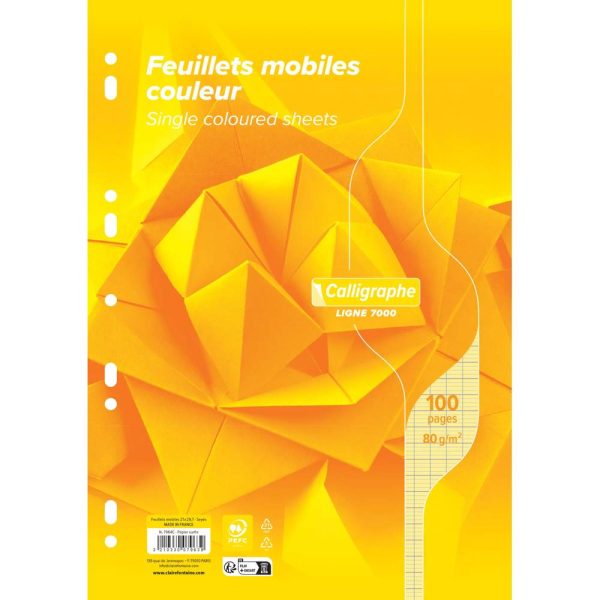 Feuillets mobiles sous film 7000 A4 100 pages perfor&eacute;es grands carreaux 80 g