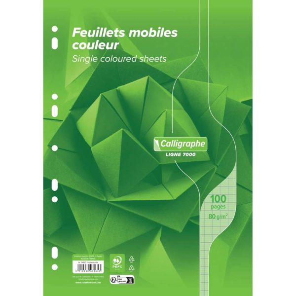 Feuillets mobiles sous film 7000 A4 100 pages perfor&eacute;es grands carreaux 80 g