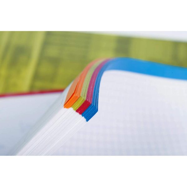 Bind&rsquo;O Block cahier reliure int&eacute;grale A4+ 160 pages d&eacute;tachables perfor&eacute;es 4 trous petits carreaux + marge et cadre en-t&ecirc;te 4 couleurs de bandes