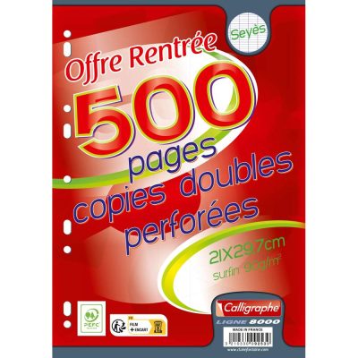Copies doubles 8000 sous film A4 500 pages perfor&eacute;es grands carreaux 90 g