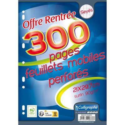 Feuillets mobiles sous film 8000 A4 300 pages perfor&eacute;es grands carreaux 90 g