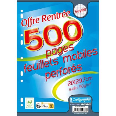 Feuillets mobiles sous film 8000 A4 500 pages perfor&eacute;es grands carreaux 90 g