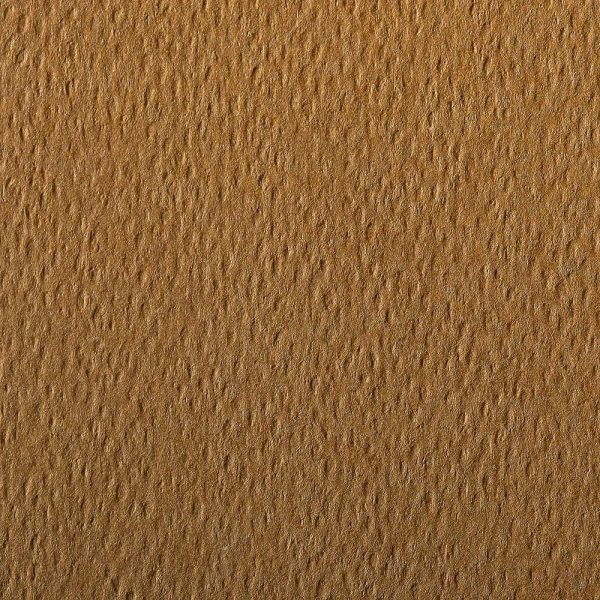 Etival Color paquet 25F A4 160g