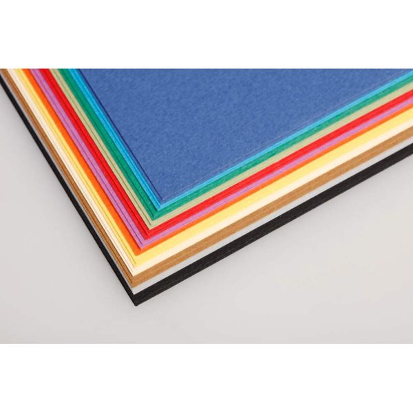 Tulipe rame 24F 50x65cm 160g