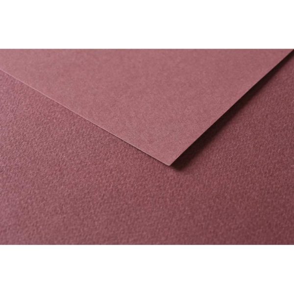 Tulipe rame 25F 50x65cm 160g