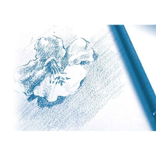 Dessin &agrave; Grain bloc coll&eacute; 20F A4 224g