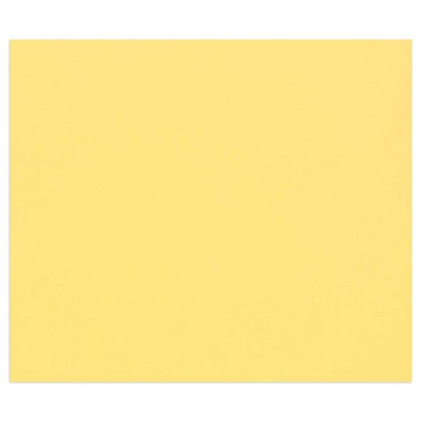 Tulipe rame 50F 50x65cm 160g