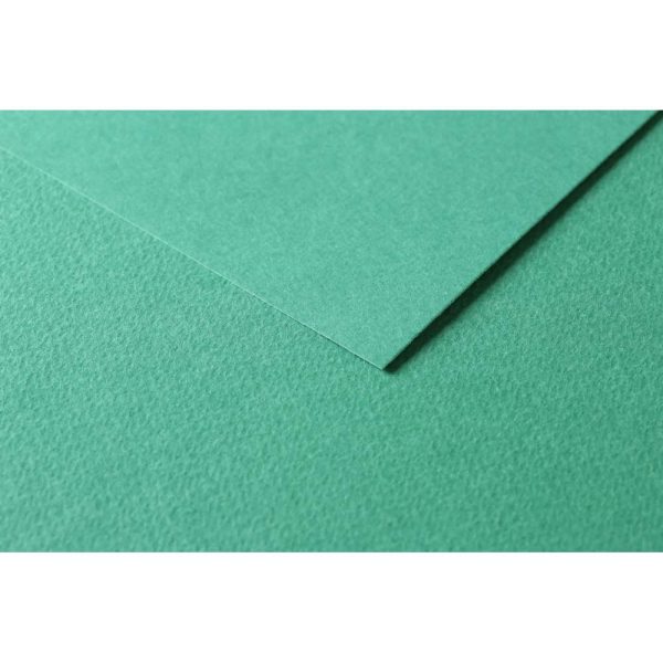 Tulipe rame 50F 50x65cm 160g