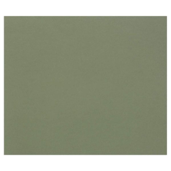 Tulipe rame 50F 50x65cm 160g
