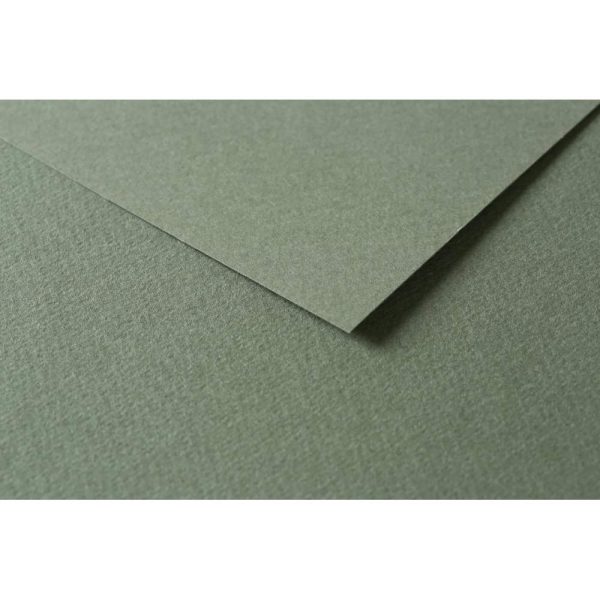 Tulipe rame 100F A4 160g