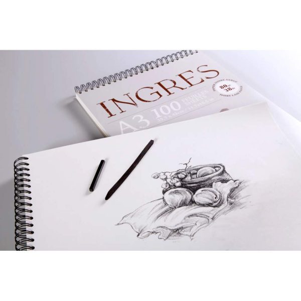 Ingres Etude bloc spiral&eacute; 100F A3 80g