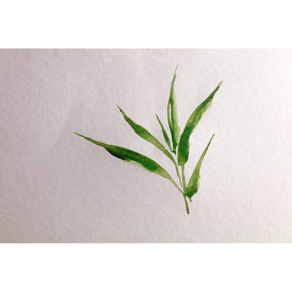Bamboo album spiral&eacute; 20F A4 250g