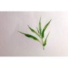 Bamboo rouleau 1,96x10m 250g