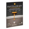 PastelGrain bloc coll&eacute; n&deg;1 12F 30x40cm 360g