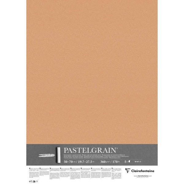 PastelGrain paquet 5F 50x70cm 360g