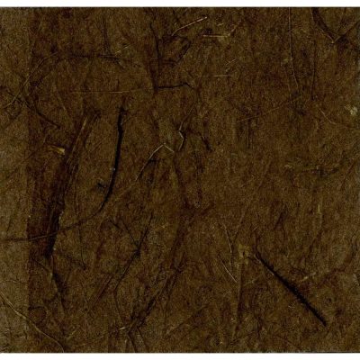 PAPIER M&Ucirc;RIER, &Eacute;tui de 10 feuilles 25g/m2 au format 65x95cm